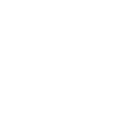 ZXW Schematic 1 Yıllık